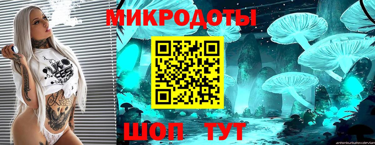 Галлюциногенные грибы мицелий Воронеж