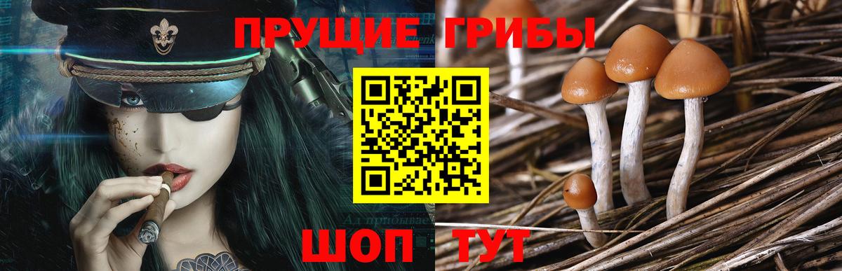Галлюциногенные грибы ЛСД  Вход с VPN  Воронеж 